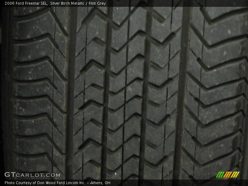 Silver Birch Metallic / Flint Grey 2006 Ford Freestar SEL