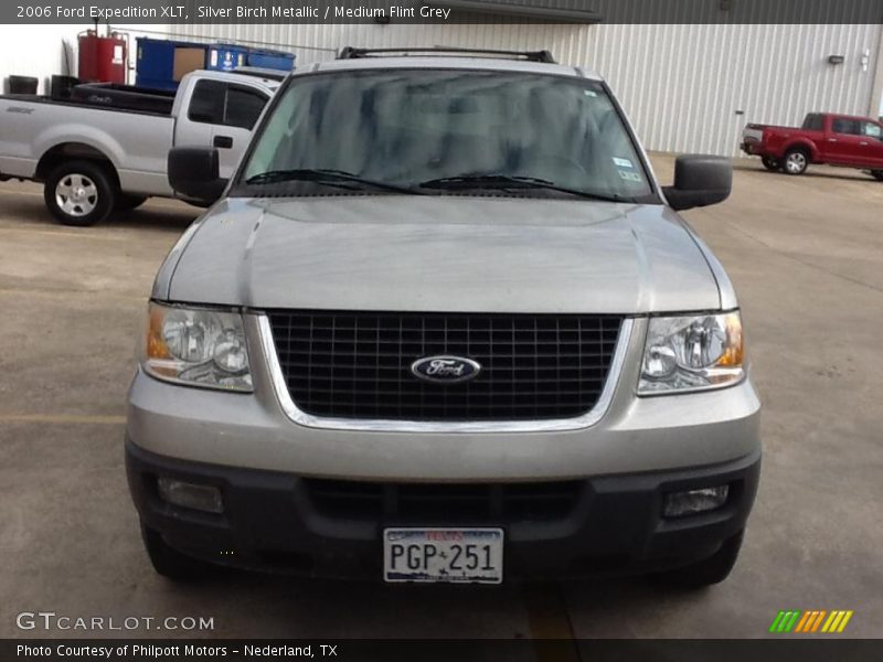 Silver Birch Metallic / Medium Flint Grey 2006 Ford Expedition XLT