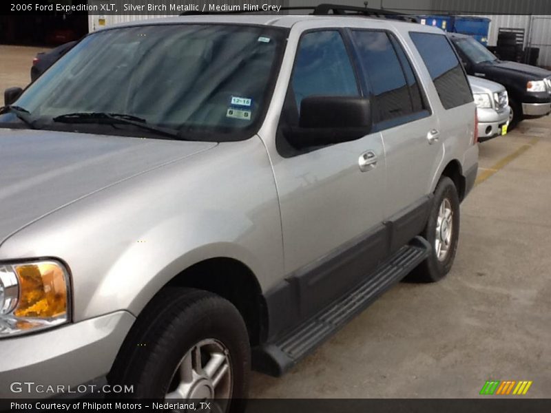 Silver Birch Metallic / Medium Flint Grey 2006 Ford Expedition XLT