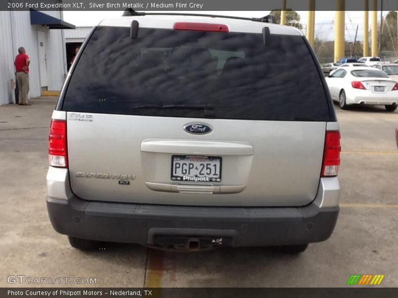 Silver Birch Metallic / Medium Flint Grey 2006 Ford Expedition XLT