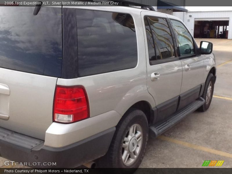 Silver Birch Metallic / Medium Flint Grey 2006 Ford Expedition XLT