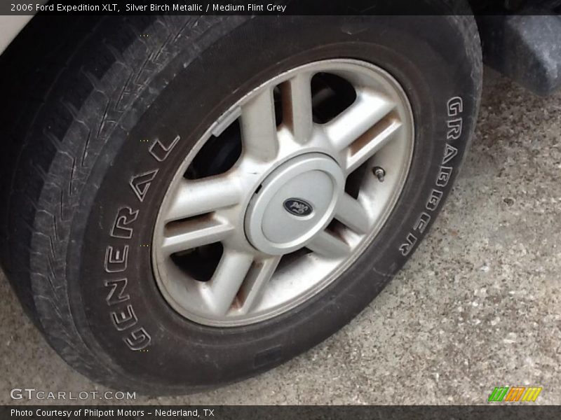 Silver Birch Metallic / Medium Flint Grey 2006 Ford Expedition XLT