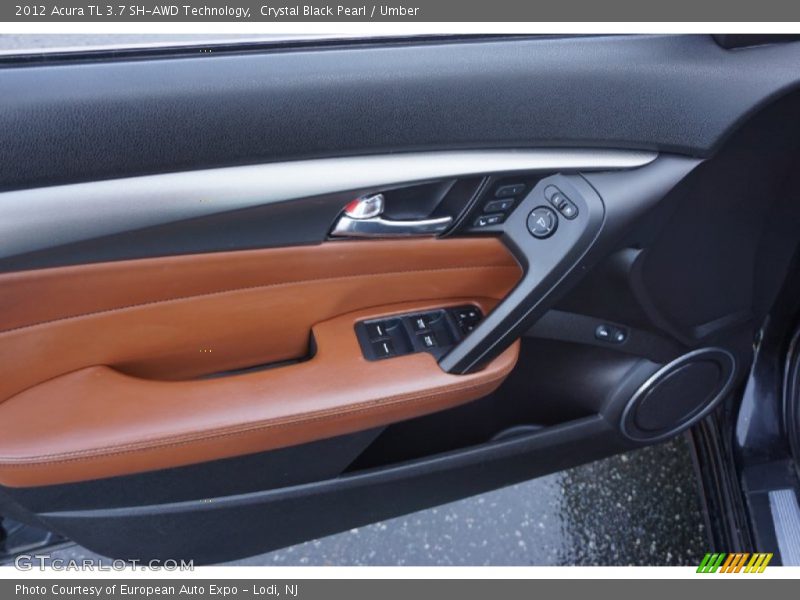 Door Panel of 2012 TL 3.7 SH-AWD Technology
