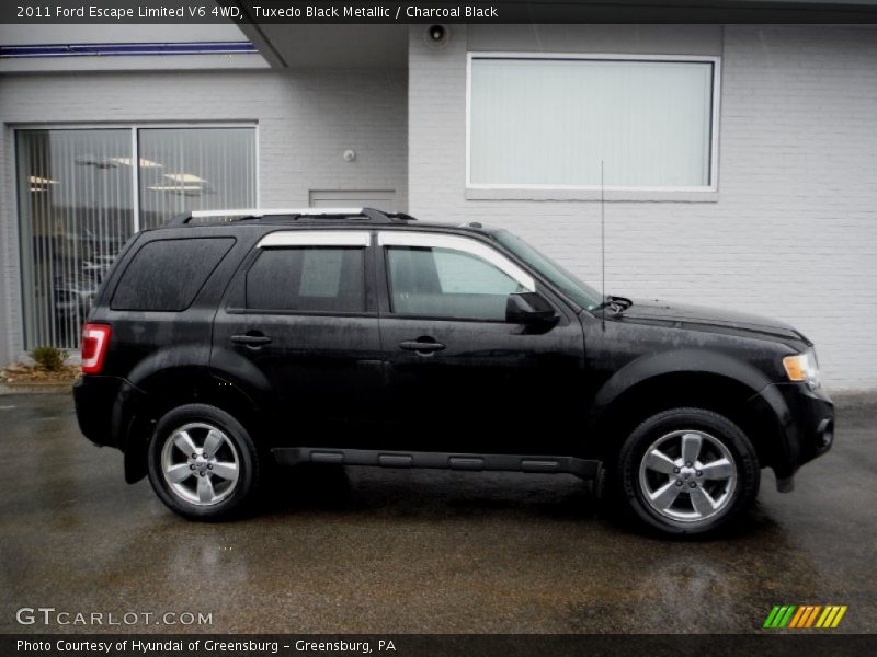 Tuxedo Black Metallic / Charcoal Black 2011 Ford Escape Limited V6 4WD
