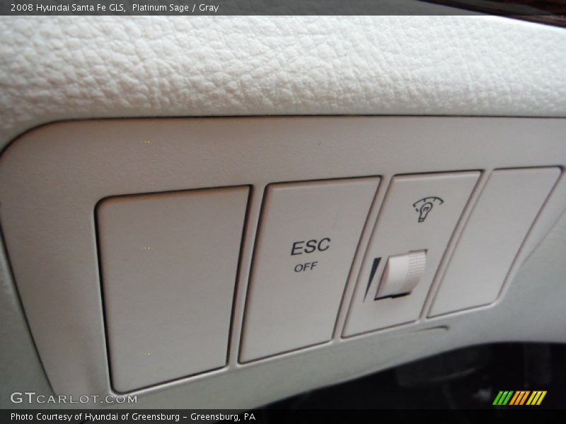 Platinum Sage / Gray 2008 Hyundai Santa Fe GLS