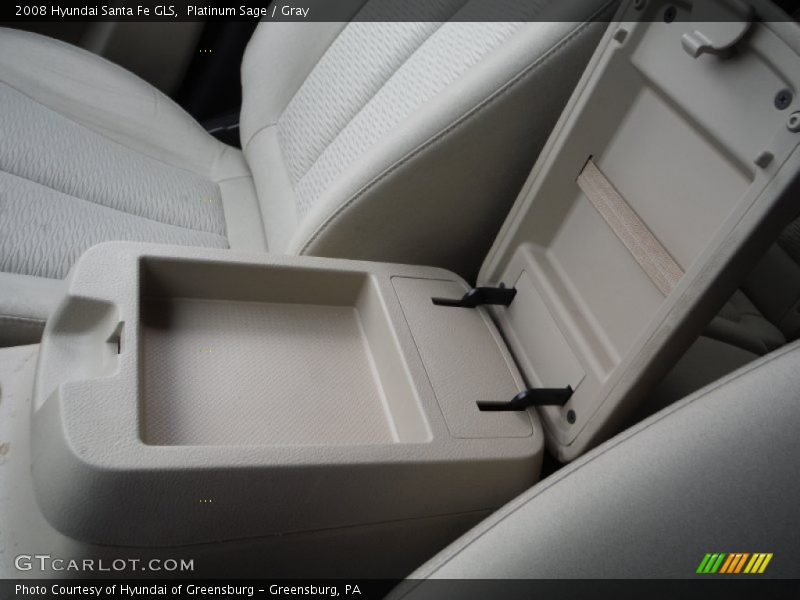 Platinum Sage / Gray 2008 Hyundai Santa Fe GLS