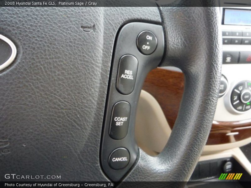 Platinum Sage / Gray 2008 Hyundai Santa Fe GLS