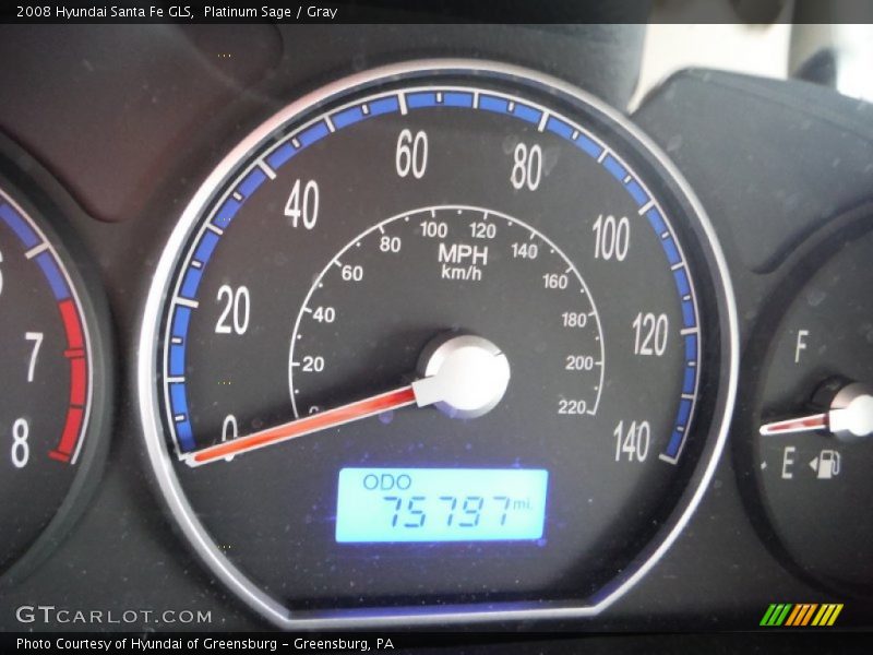 Platinum Sage / Gray 2008 Hyundai Santa Fe GLS