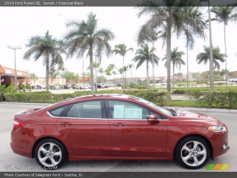 Sunset / Charcoal Black 2014 Ford Fusion SE