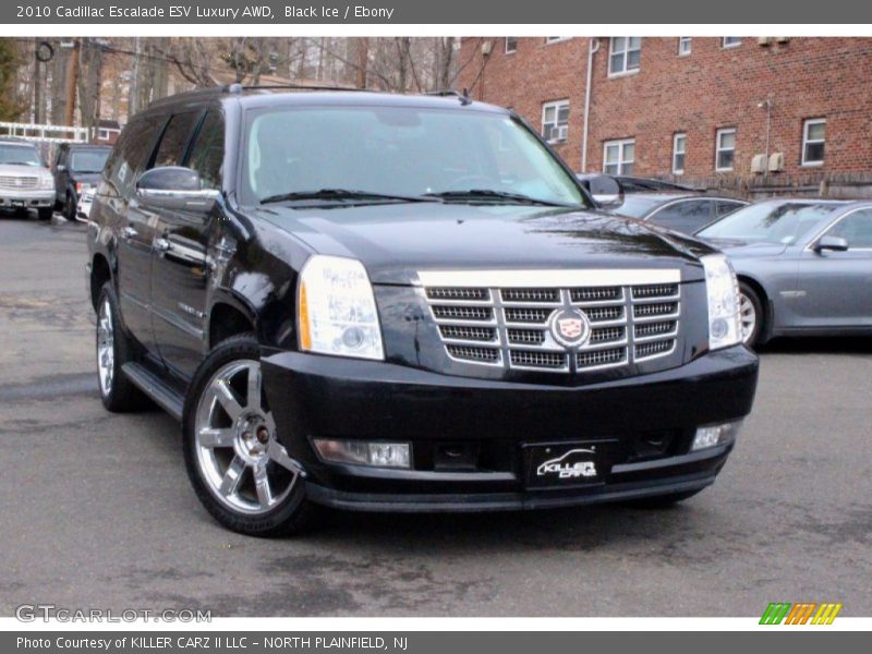 Black Ice / Ebony 2010 Cadillac Escalade ESV Luxury AWD