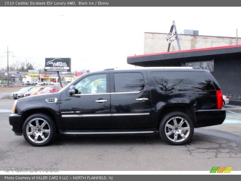 Black Ice / Ebony 2010 Cadillac Escalade ESV Luxury AWD