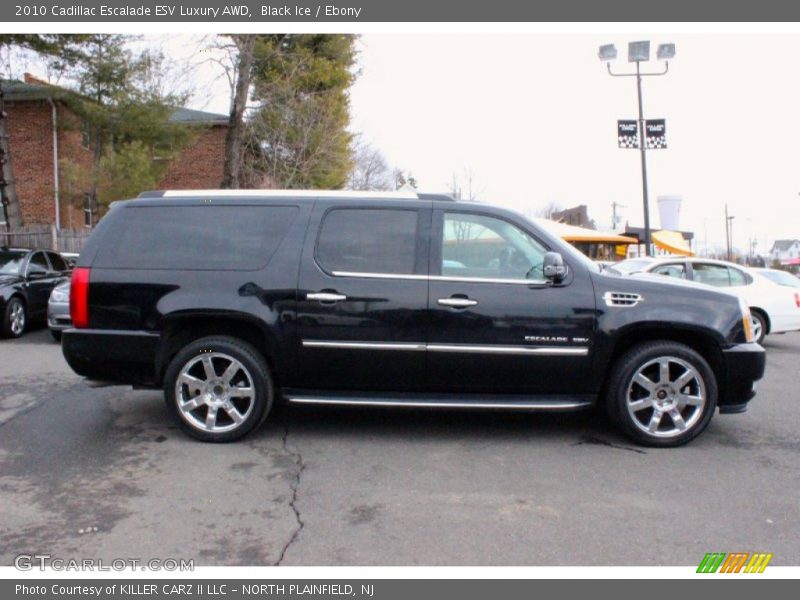 Black Ice / Ebony 2010 Cadillac Escalade ESV Luxury AWD