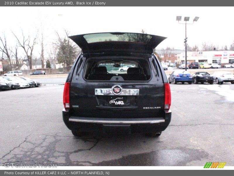 Black Ice / Ebony 2010 Cadillac Escalade ESV Luxury AWD