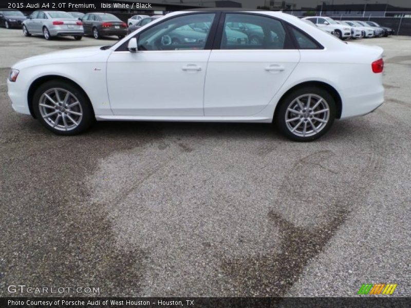 Ibis White / Black 2015 Audi A4 2.0T Premium