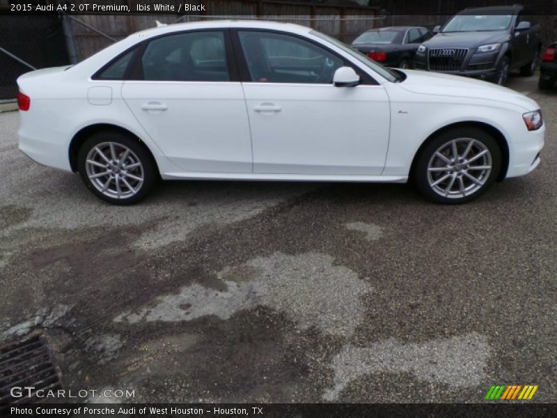 Ibis White / Black 2015 Audi A4 2.0T Premium