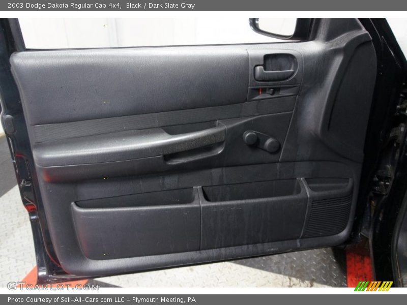 Door Panel of 2003 Dakota Regular Cab 4x4