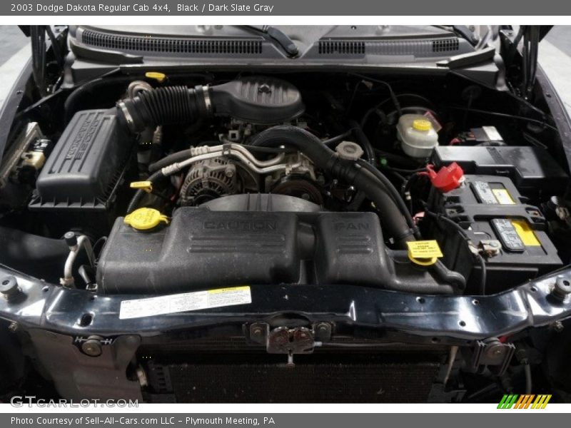 Black / Dark Slate Gray 2003 Dodge Dakota Regular Cab 4x4