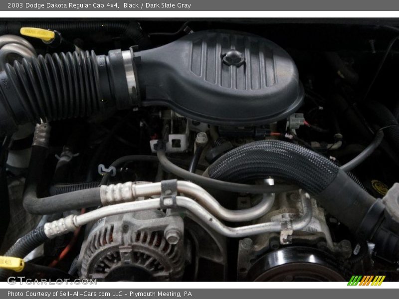 Black / Dark Slate Gray 2003 Dodge Dakota Regular Cab 4x4