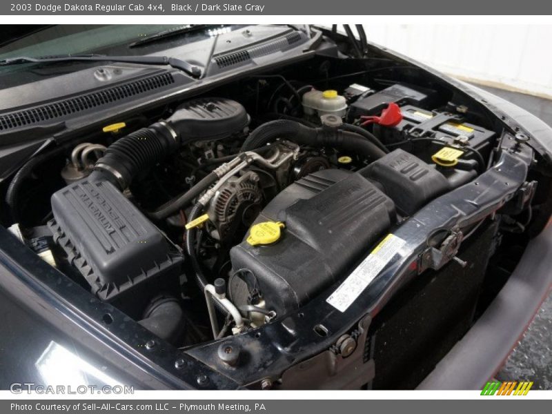 Black / Dark Slate Gray 2003 Dodge Dakota Regular Cab 4x4