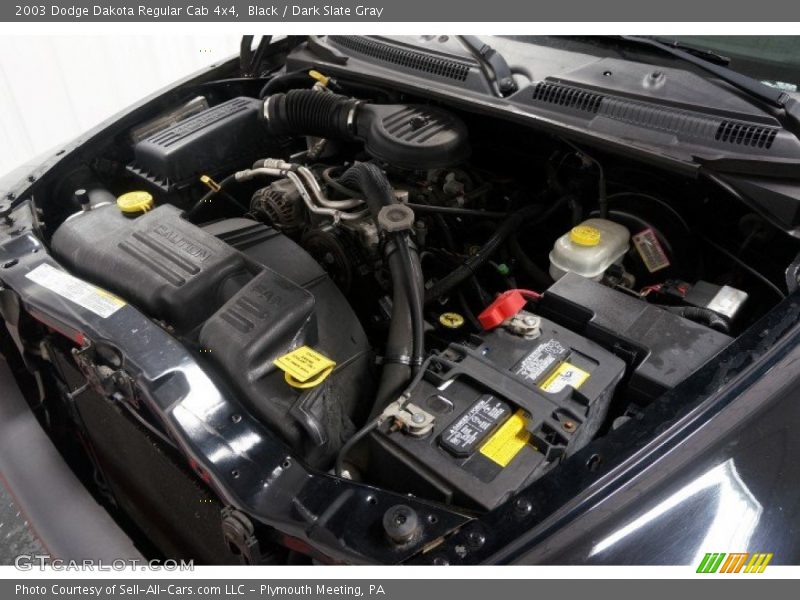 Black / Dark Slate Gray 2003 Dodge Dakota Regular Cab 4x4