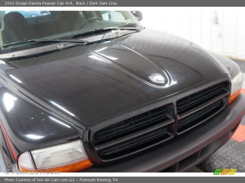 Black / Dark Slate Gray 2003 Dodge Dakota Regular Cab 4x4