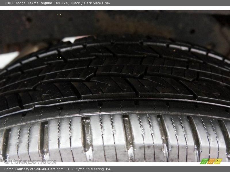 Black / Dark Slate Gray 2003 Dodge Dakota Regular Cab 4x4