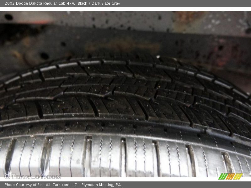 Black / Dark Slate Gray 2003 Dodge Dakota Regular Cab 4x4