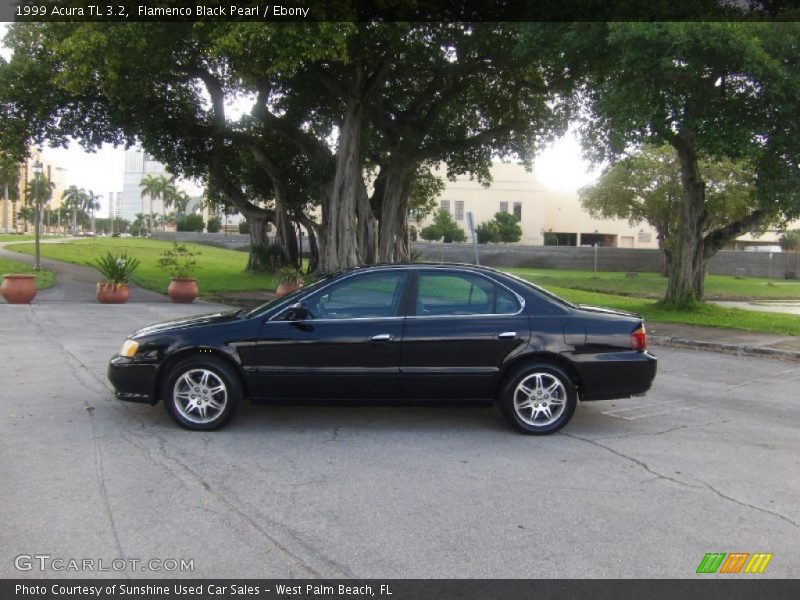 Flamenco Black Pearl / Ebony 1999 Acura TL 3.2