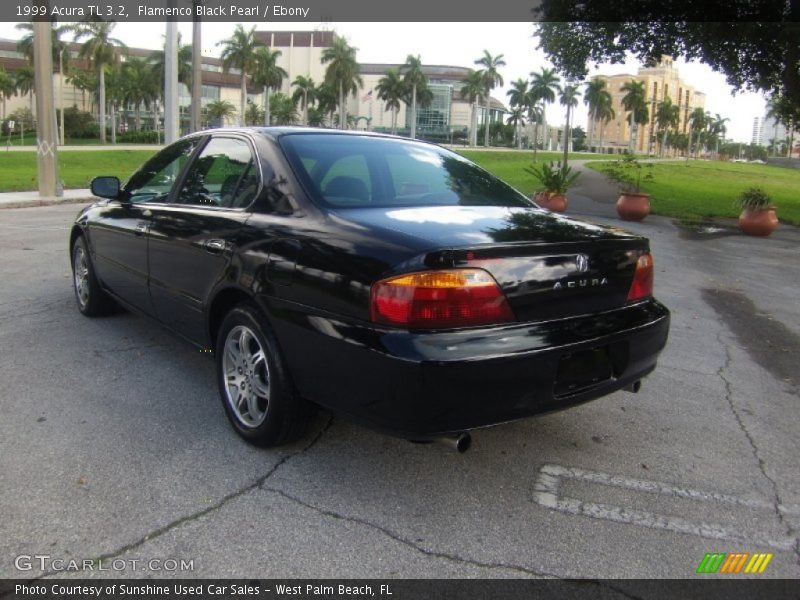 Flamenco Black Pearl / Ebony 1999 Acura TL 3.2