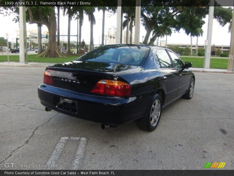 Flamenco Black Pearl / Ebony 1999 Acura TL 3.2
