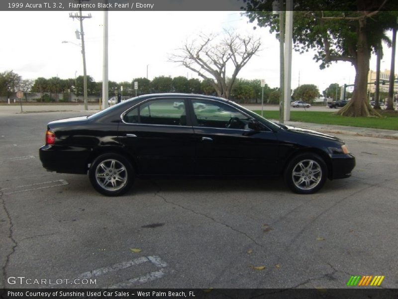 Flamenco Black Pearl / Ebony 1999 Acura TL 3.2