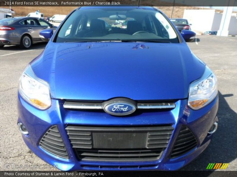 Performance Blue / Charcoal Black 2014 Ford Focus SE Hatchback