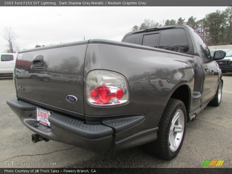 Dark Shadow Grey Metallic / Medium Graphite Grey 2003 Ford F150 SVT Lightning