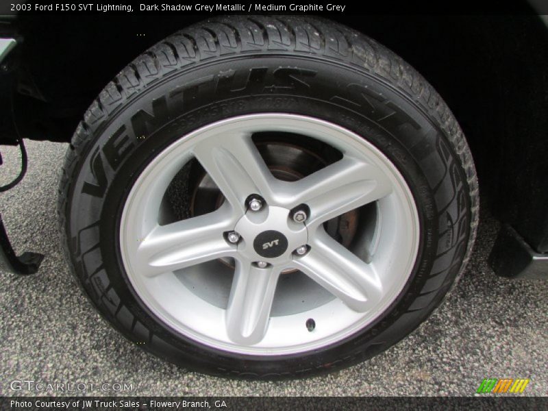Dark Shadow Grey Metallic / Medium Graphite Grey 2003 Ford F150 SVT Lightning