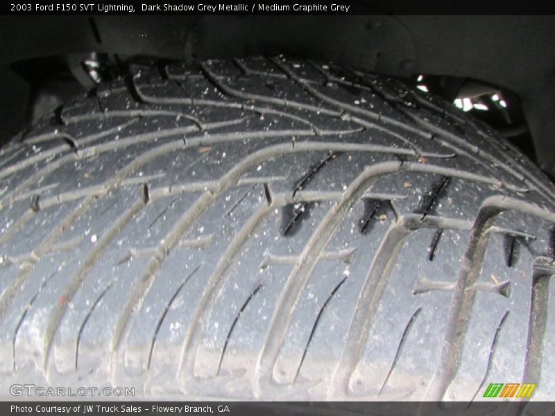 Dark Shadow Grey Metallic / Medium Graphite Grey 2003 Ford F150 SVT Lightning
