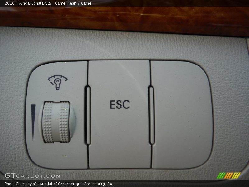 Camel Pearl / Camel 2010 Hyundai Sonata GLS