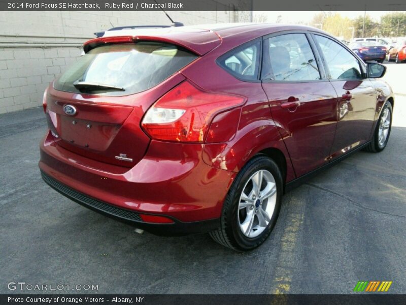 Ruby Red / Charcoal Black 2014 Ford Focus SE Hatchback