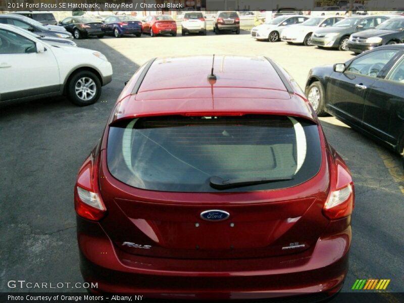 Ruby Red / Charcoal Black 2014 Ford Focus SE Hatchback
