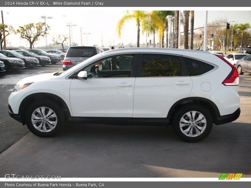 White Diamond Pearl / Gray 2014 Honda CR-V EX-L