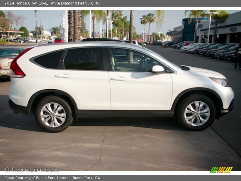 White Diamond Pearl / Gray 2014 Honda CR-V EX-L