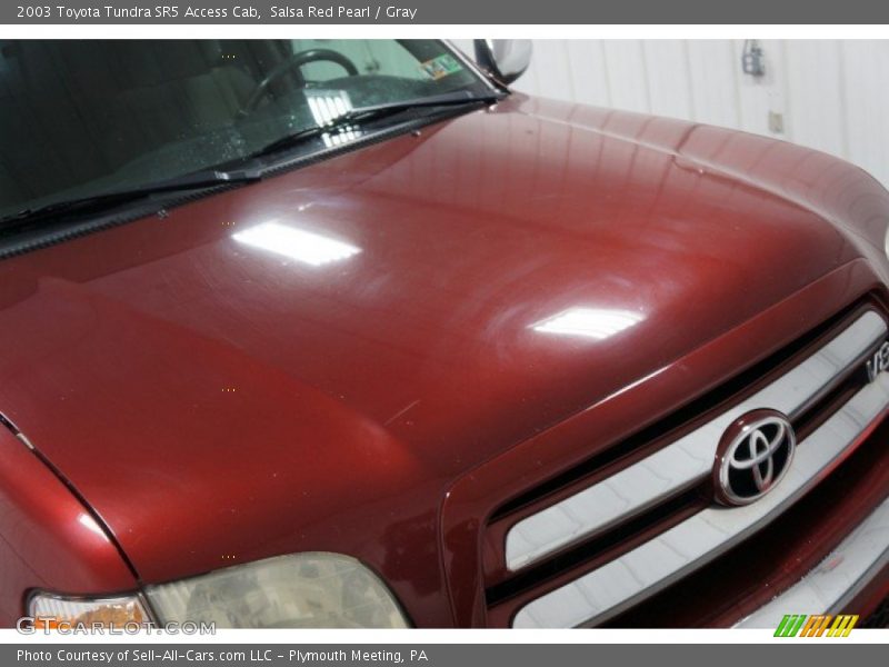 Salsa Red Pearl / Gray 2003 Toyota Tundra SR5 Access Cab