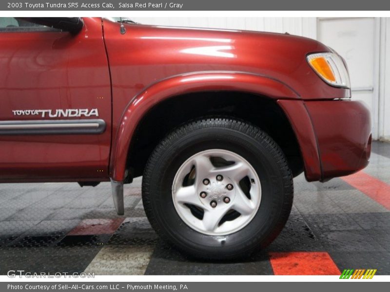 Salsa Red Pearl / Gray 2003 Toyota Tundra SR5 Access Cab