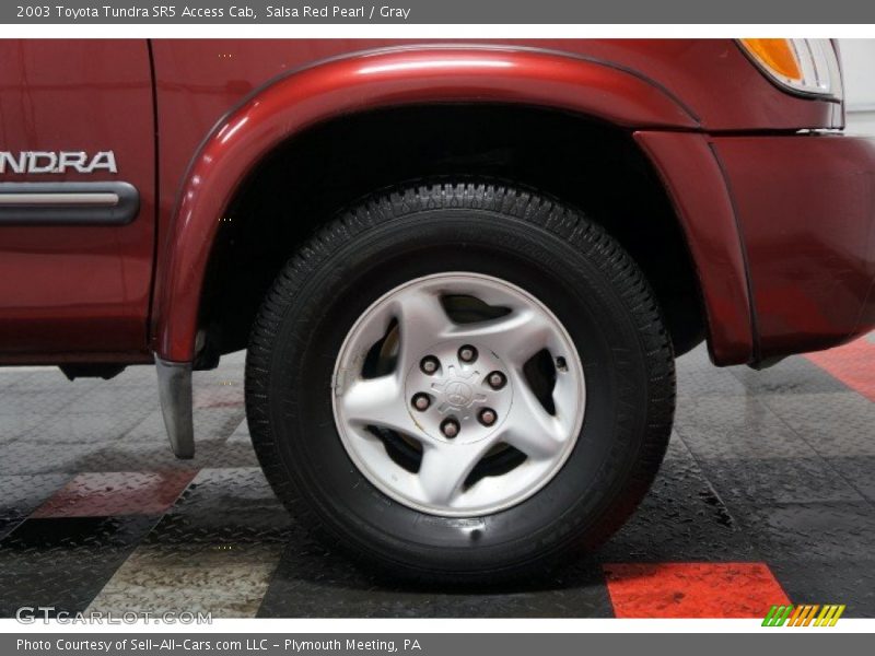 Salsa Red Pearl / Gray 2003 Toyota Tundra SR5 Access Cab