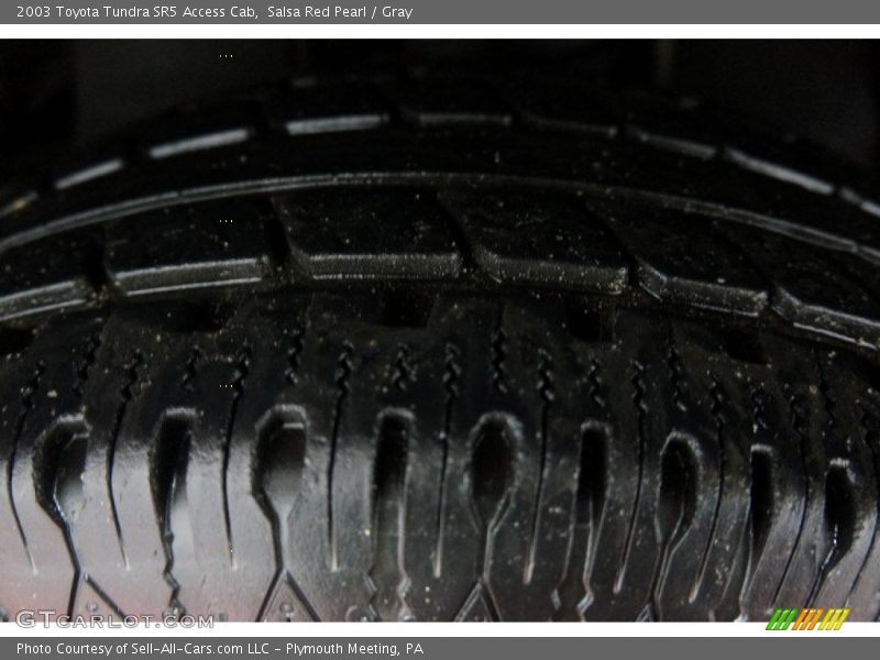 Salsa Red Pearl / Gray 2003 Toyota Tundra SR5 Access Cab