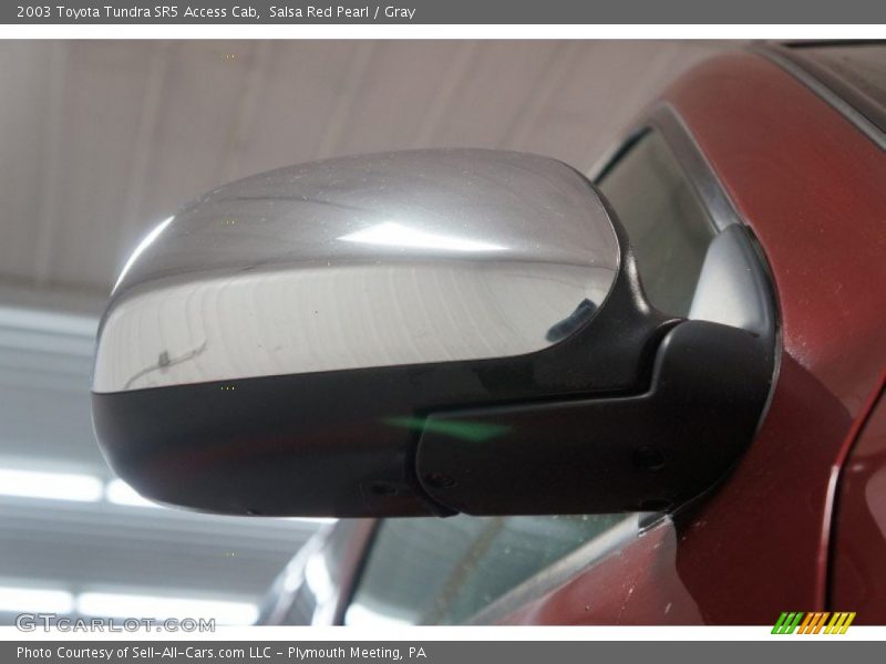 Salsa Red Pearl / Gray 2003 Toyota Tundra SR5 Access Cab