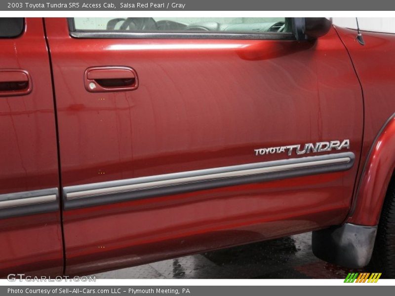 Salsa Red Pearl / Gray 2003 Toyota Tundra SR5 Access Cab