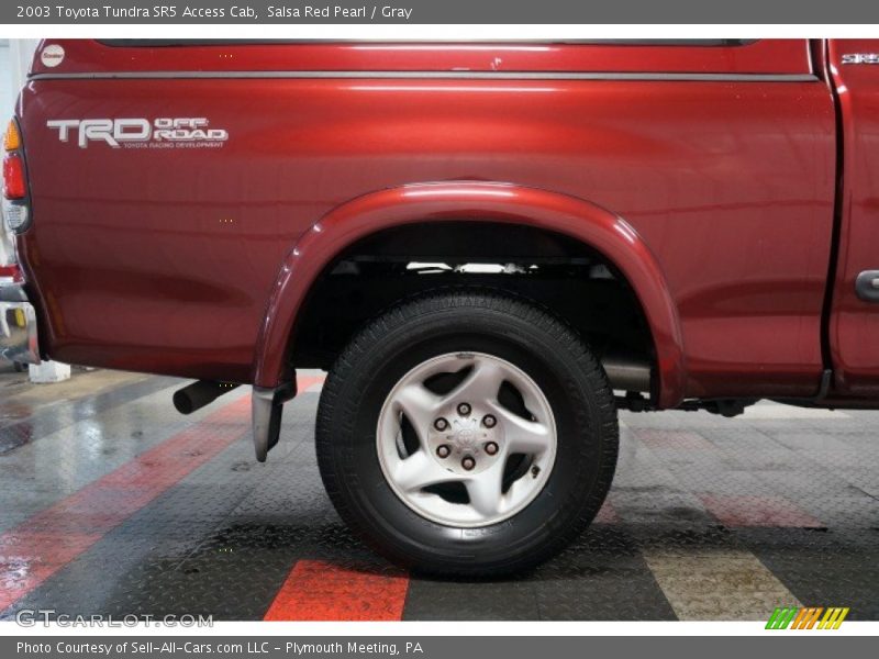 Salsa Red Pearl / Gray 2003 Toyota Tundra SR5 Access Cab