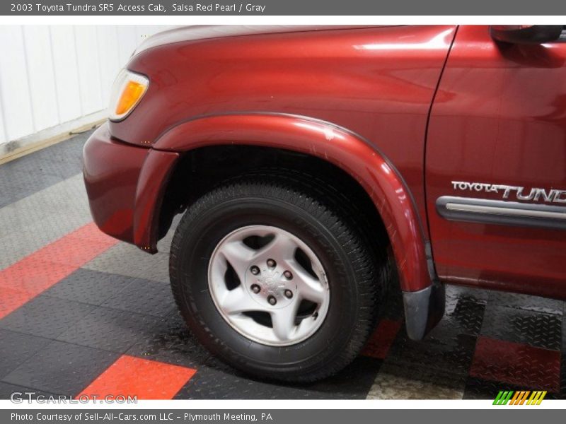 Salsa Red Pearl / Gray 2003 Toyota Tundra SR5 Access Cab