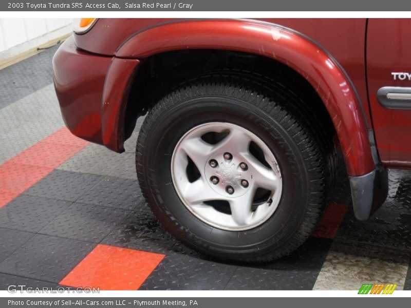 Salsa Red Pearl / Gray 2003 Toyota Tundra SR5 Access Cab