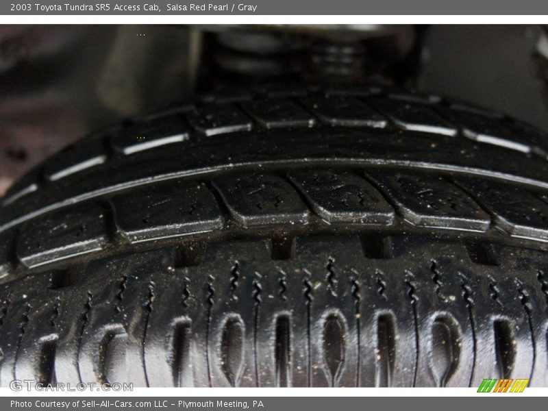 Salsa Red Pearl / Gray 2003 Toyota Tundra SR5 Access Cab